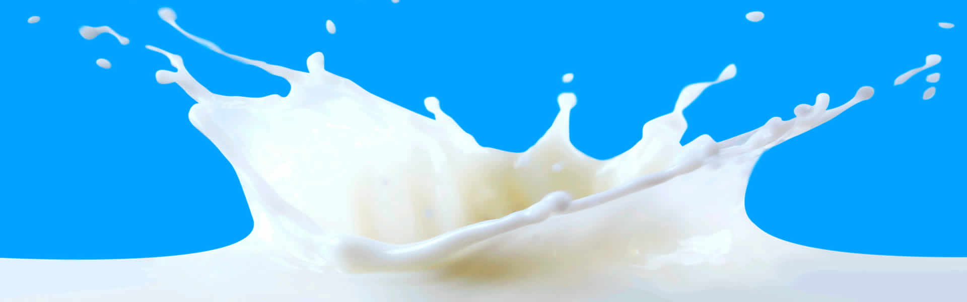 Doces de leite